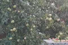 WhatsApp-Image-2019-08-31-at-19.13.23