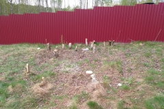 20190508_091901