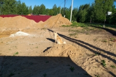 20190604_071619